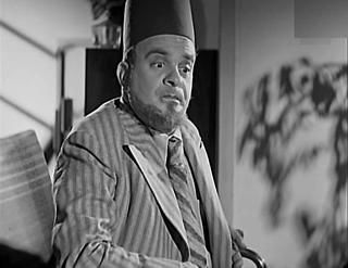 فوزي الجزايرلي