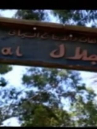 محمود المردنلى