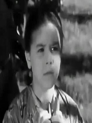 تهانى مصطفى