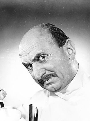 توربين ماير