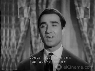 محمد ضياء الدين