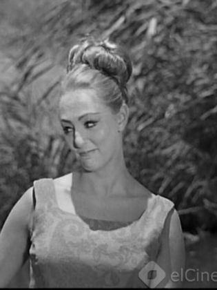 بهاء عبدالحميد