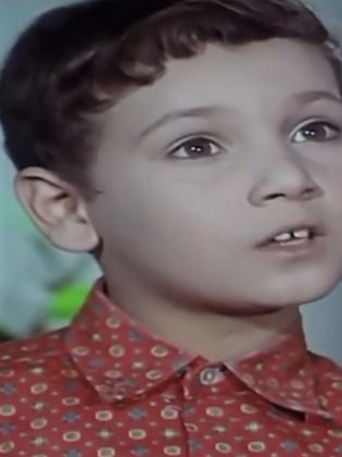 محيي الدين شوقي