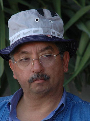 عمرو الصيفي