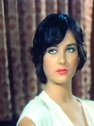 مصطفى المعاون