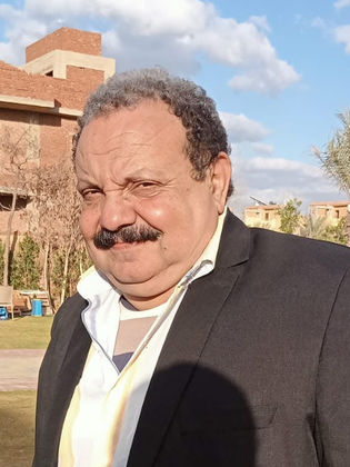 علي جمال الدين