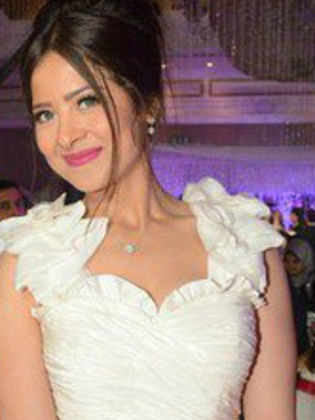 أحمد عمرو عرفة