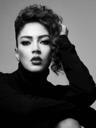 فيكتور بريس