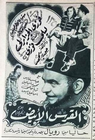 القرش الأبيض