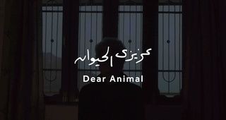عزيزي الحيوان
