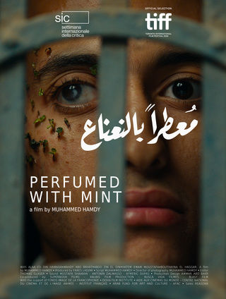 معطرا بالنعناع