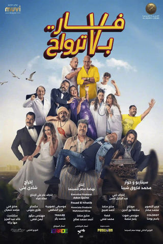 فار بـ 7 ترواح